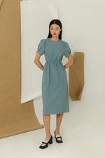 ZALIKI PUFF SLEEVE ELASTIC WAISTBAND DRESS
