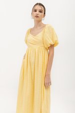 VIRANDA EMBROIDERED MIDI DRESS