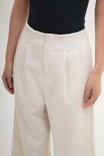 DELANEY PLEATED WIDE LEG PANTS