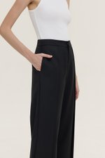 STANLEY PLEATED WIDE LEG PANTS
