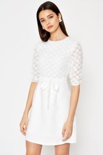 VINO TEXTURED MESH FLARE DRESS W SASH